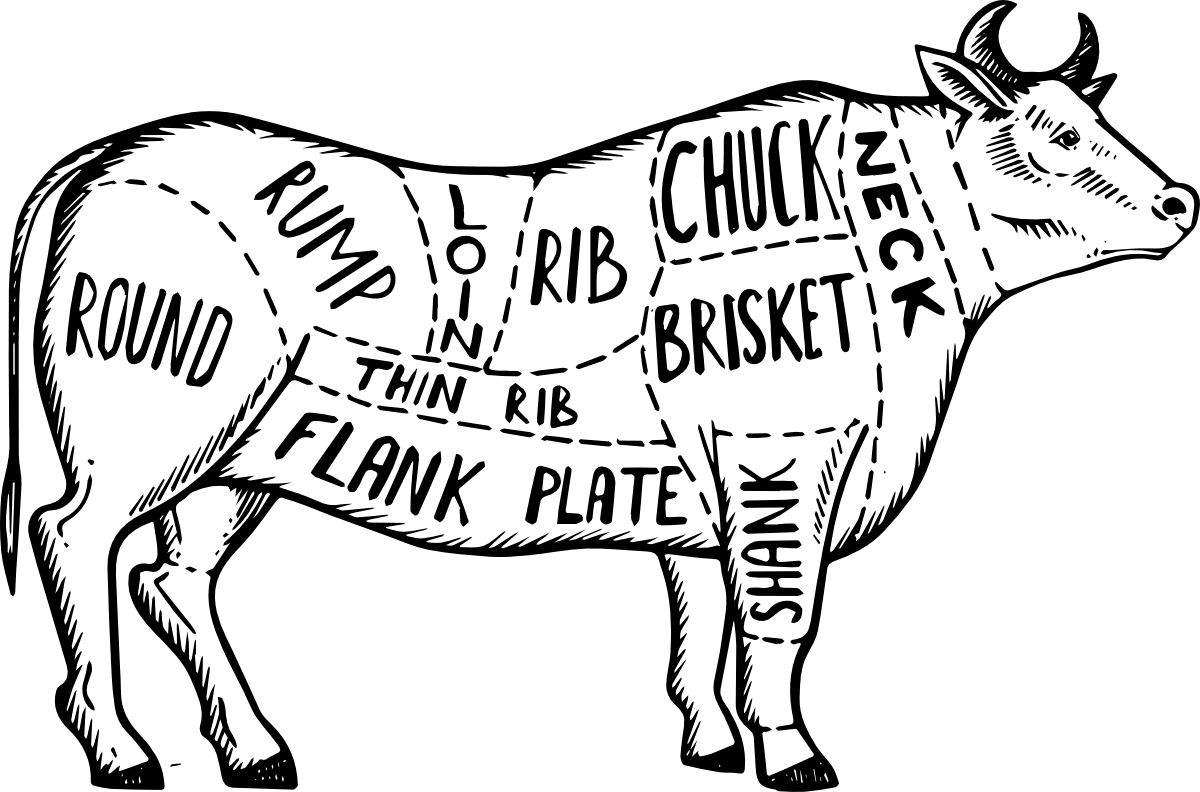 Butcher's sketch of a cow with guidelines of each cut of beef