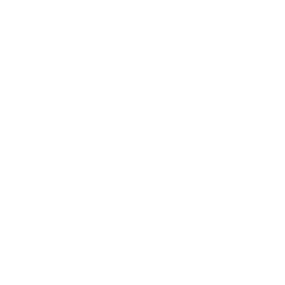 USA Beef
