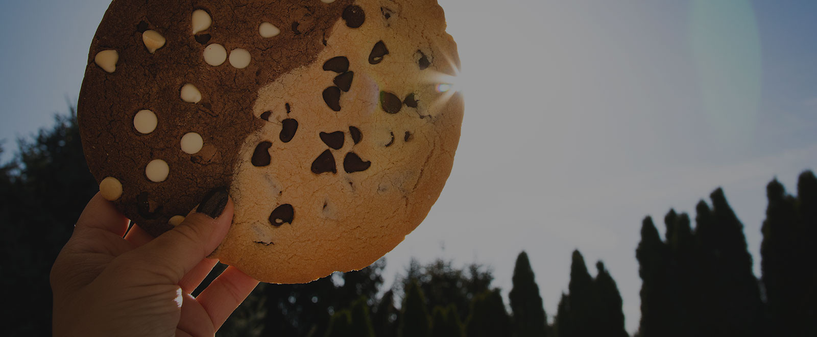 Order America's favorite big cookies background