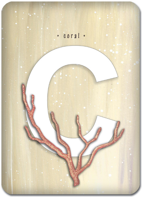 C is for Coral