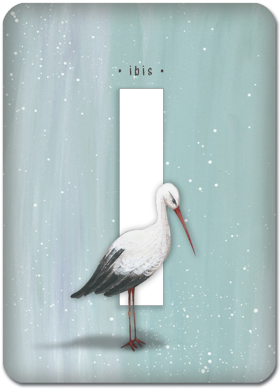 I is for Ibis