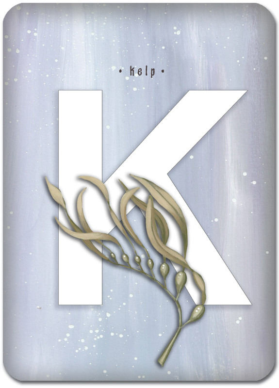 K is for Kelp
