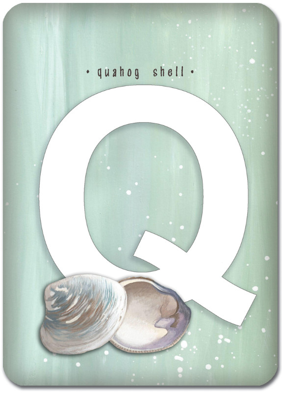 Q is for Quahog Shell