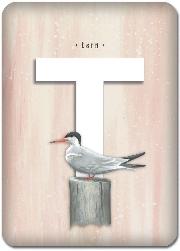 T is for Tern
