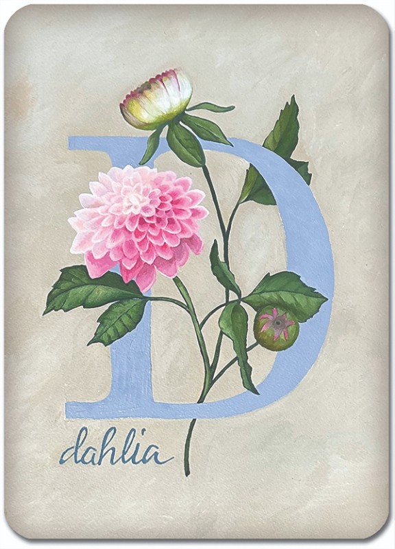 D is for Dahlia