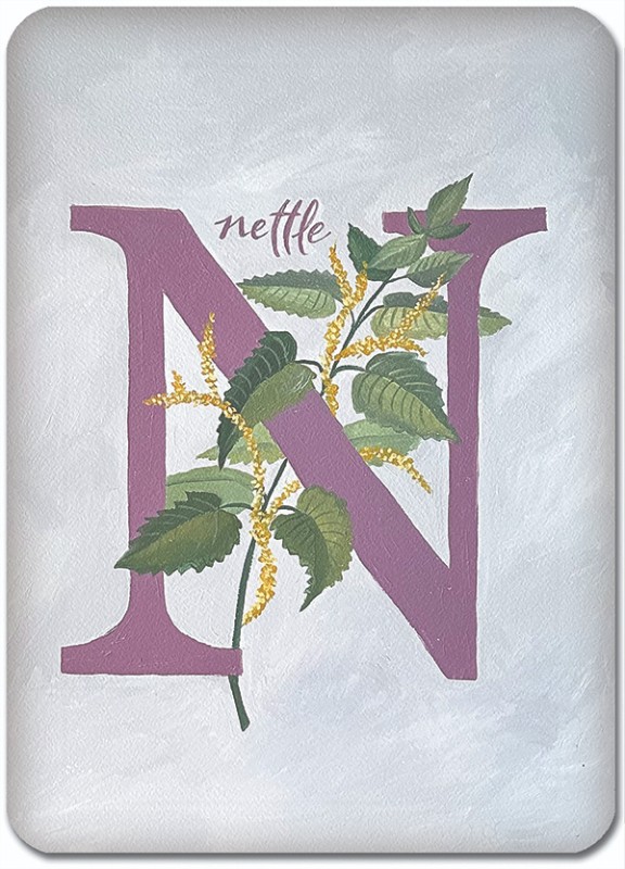 N is for Nettle
