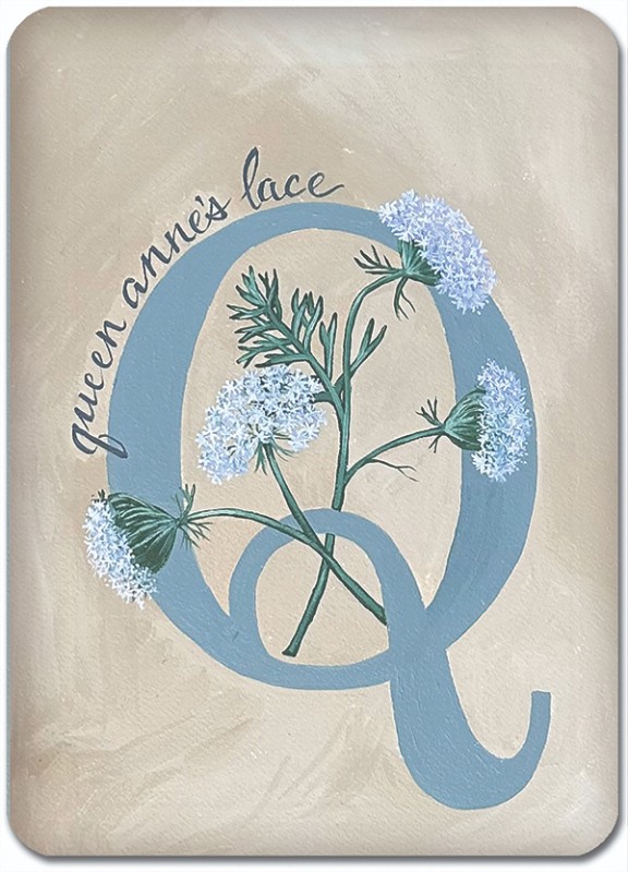 Q is for Queen Anne's Lace