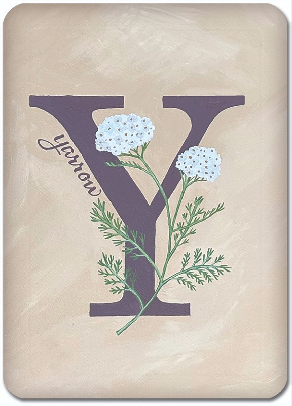Y is for Yarrow
